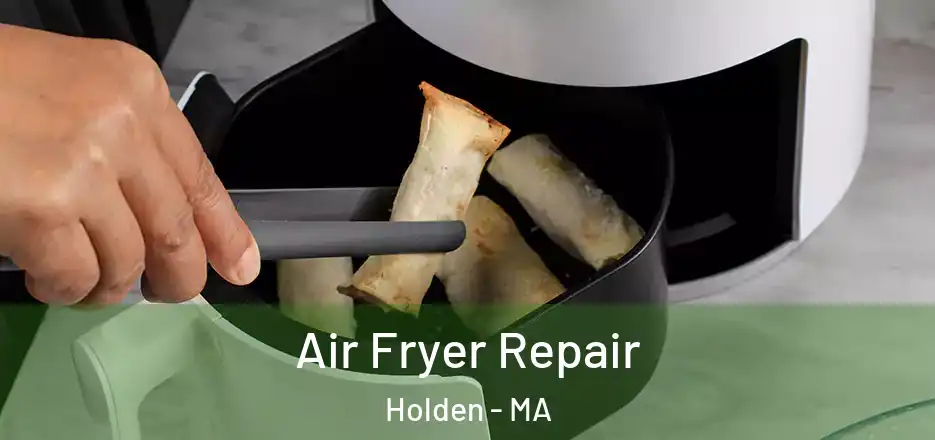 Air Fryer Repair Holden - MA