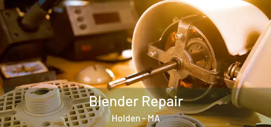 Blender Repair Holden - MA