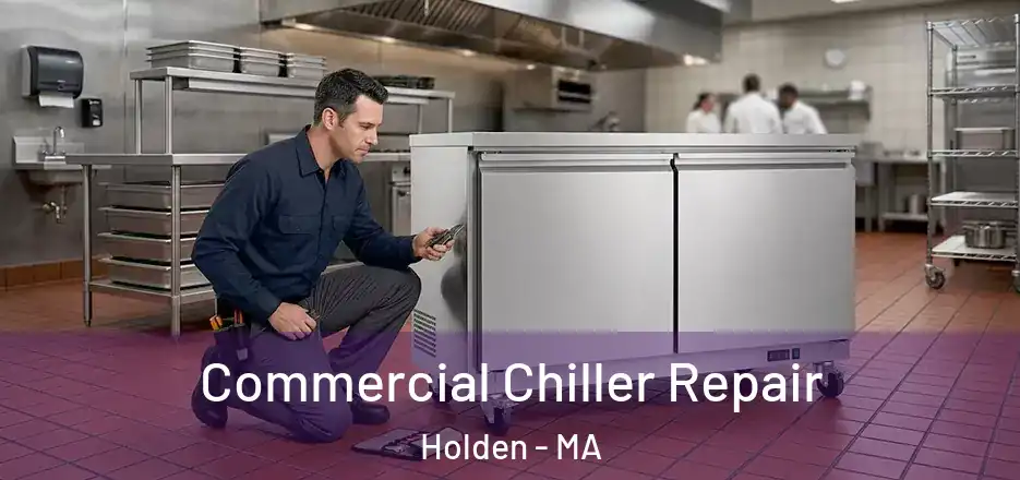Commercial Chiller Repair Holden - MA