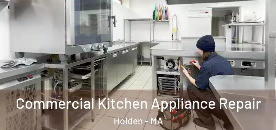 Commercial Kitchen Appliance Repair Holden - MA