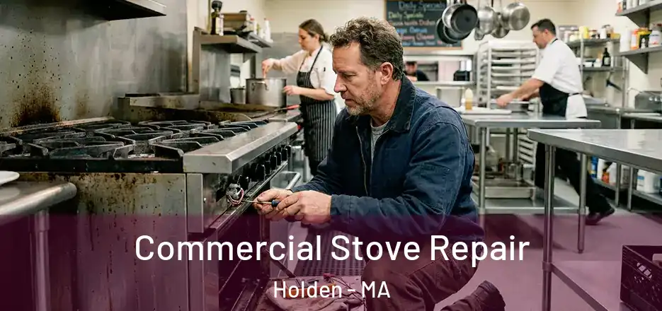 Commercial Stove Repair Holden - MA