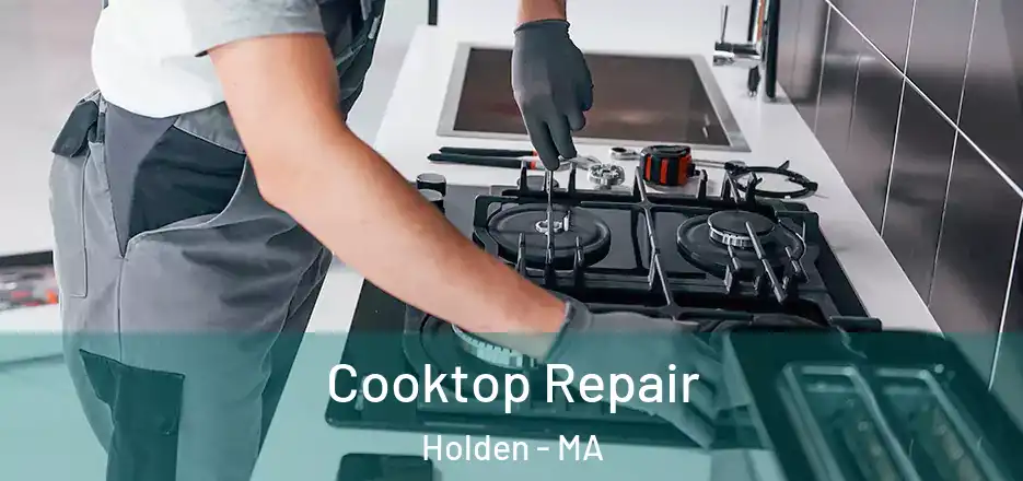 Cooktop Repair Holden - MA