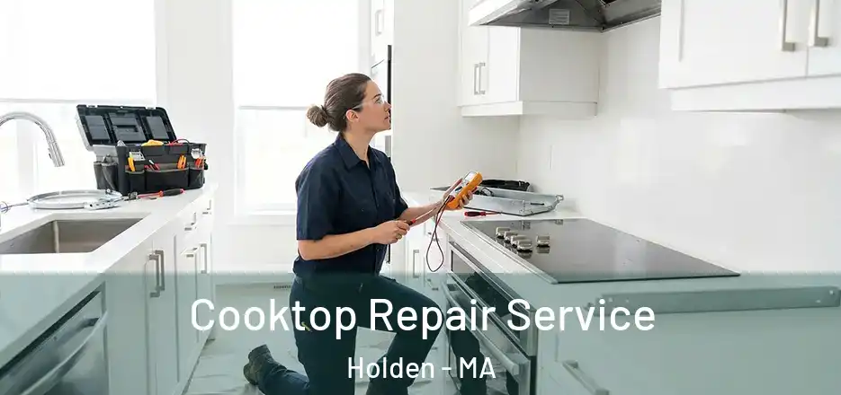 Cooktop Repair Service Holden - MA