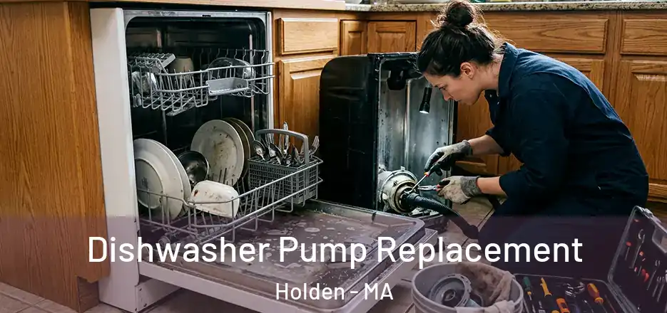 Dishwasher Pump Replacement Holden - MA