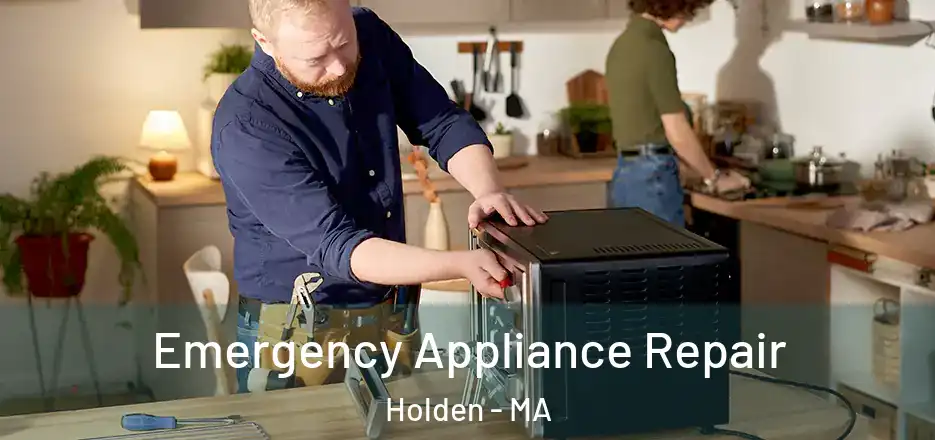 Emergency Appliance Repair Holden - MA
