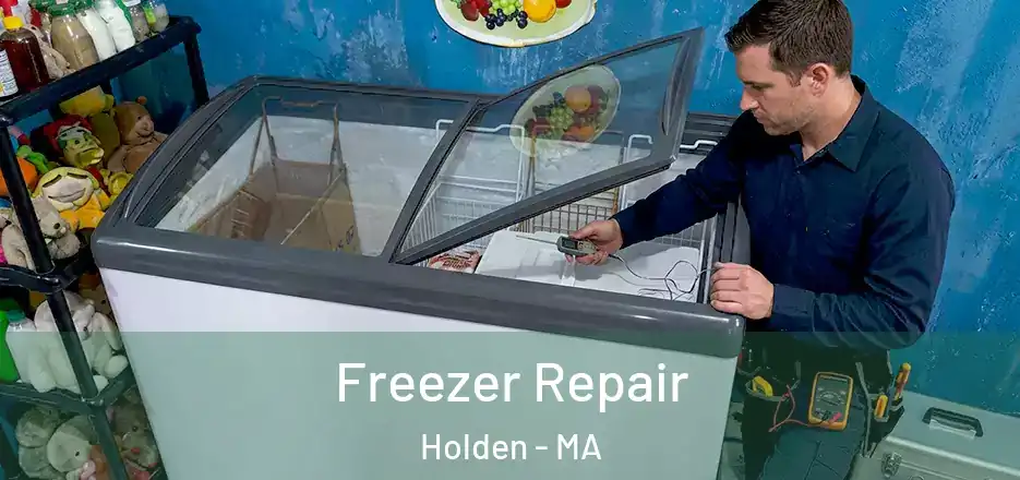 Freezer Repair Holden - MA