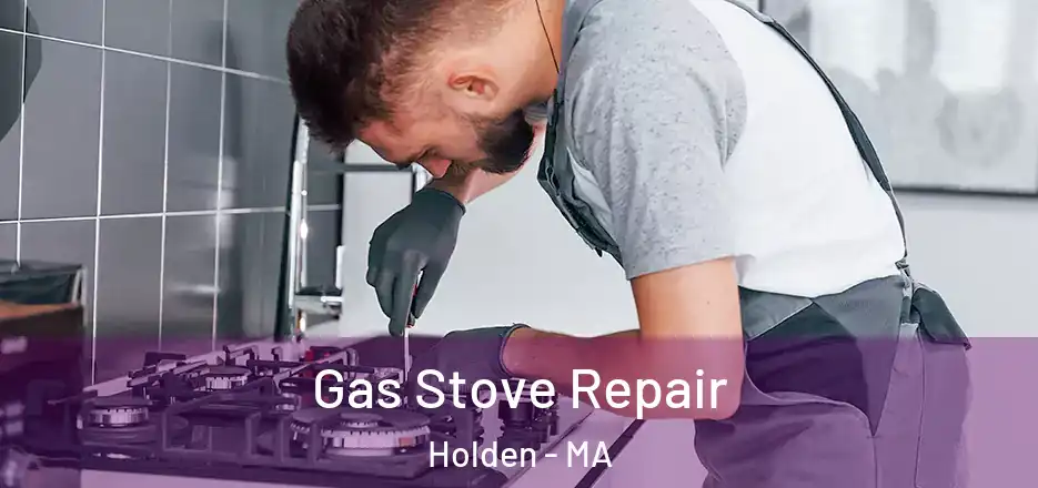 Gas Stove Repair Holden - MA
