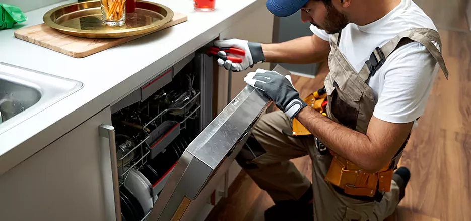 Same Day Dishwasher Not Draining Repair in Holden