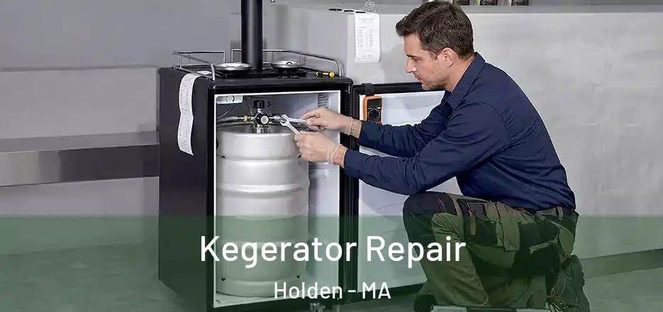 Kegerator Repair Holden - MA