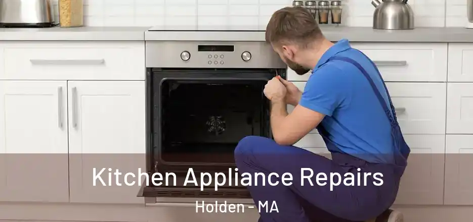 Kitchen Appliance Repairs Holden - MA