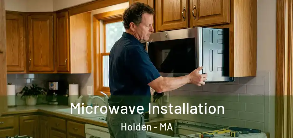 Microwave Installation Holden - MA
