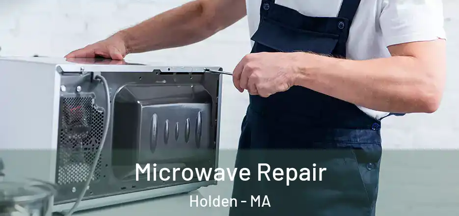 Microwave Repair Holden - MA