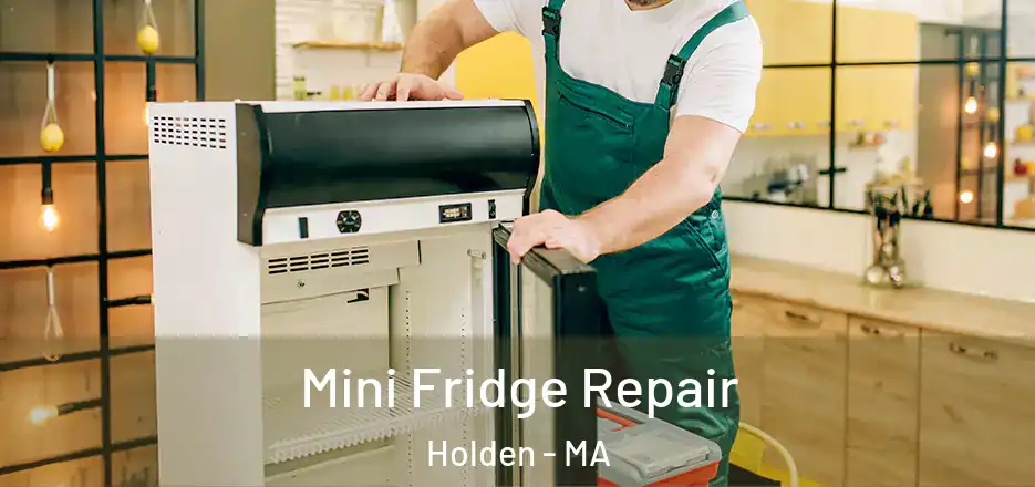 Mini Fridge Repair Holden - MA
