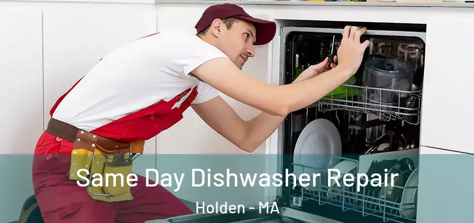 Same Day Dishwasher Repair Holden - MA