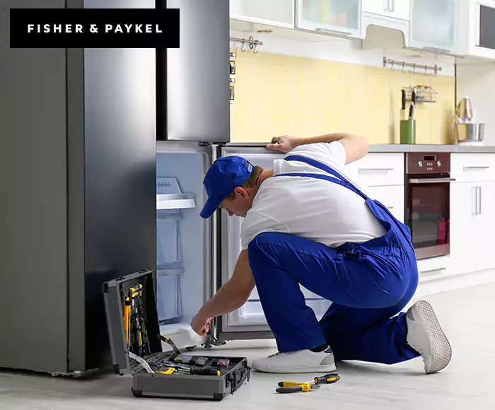 Top-Rated Fisher & Paykel Appliance Experts: Your Brand Specialist in Holden, MA