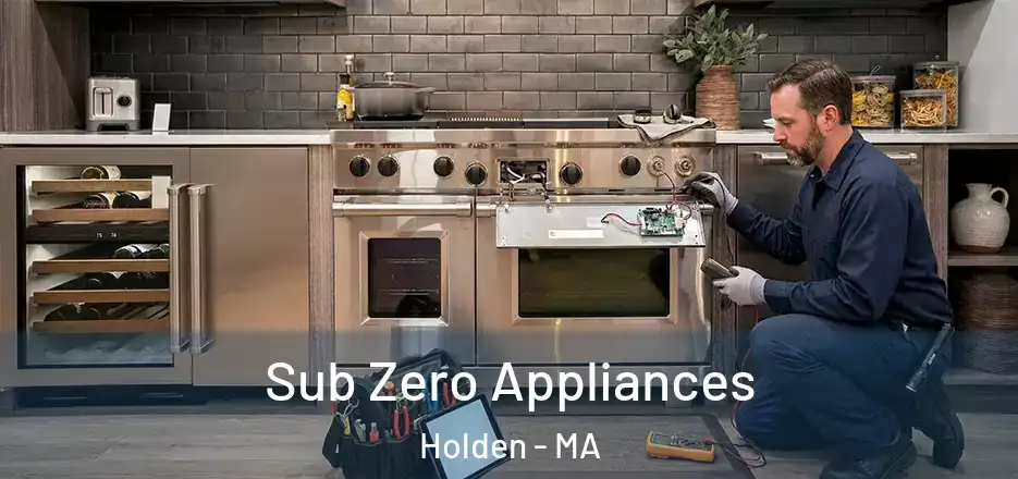 Sub Zero Appliances Holden - MA